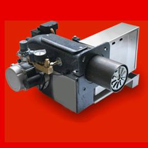 Multi-fuel burner